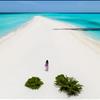 Sand Bank